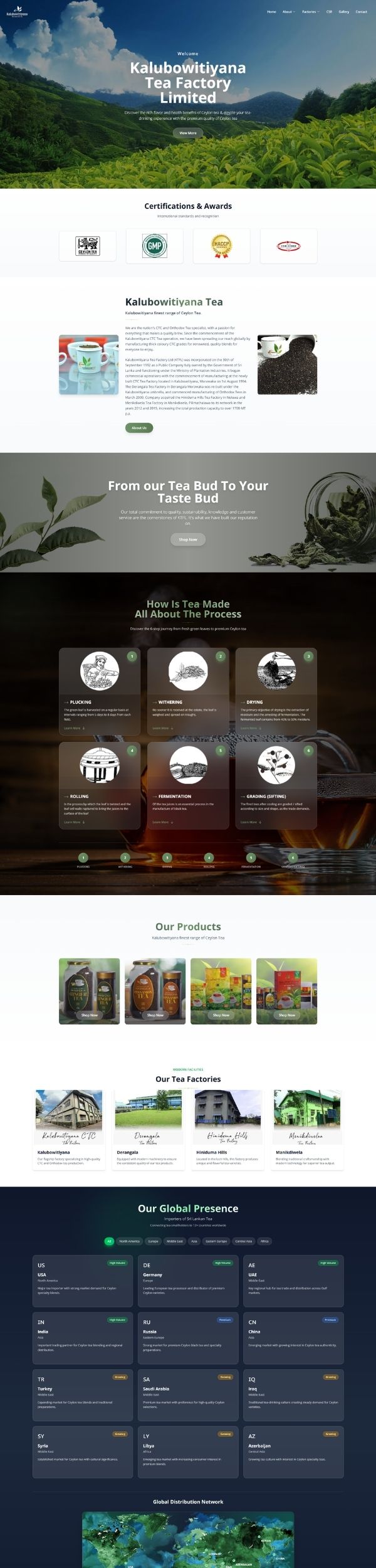 Full Website Scroll Preview