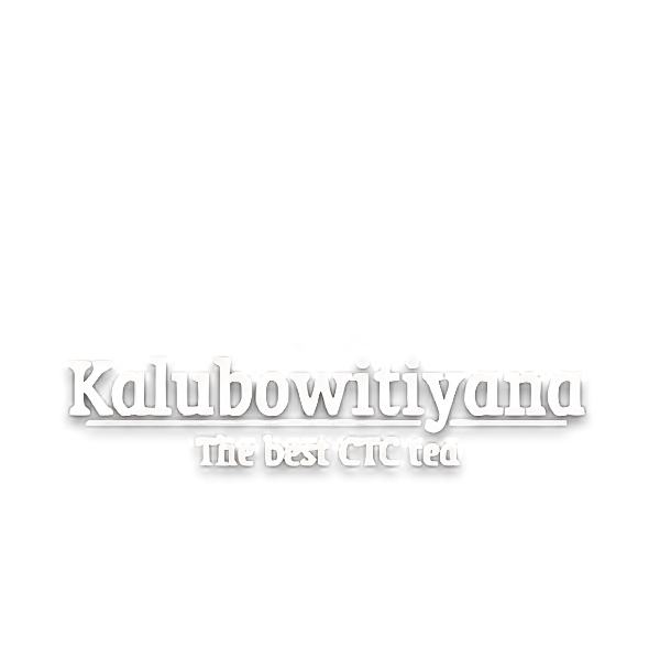 Featured Brand Asset