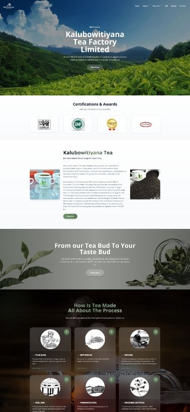 Web Design Mobile View